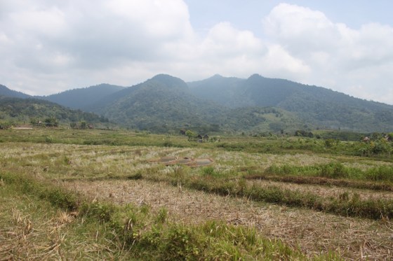 diedit, bisa cakep buat dipajang di instagram. #eh