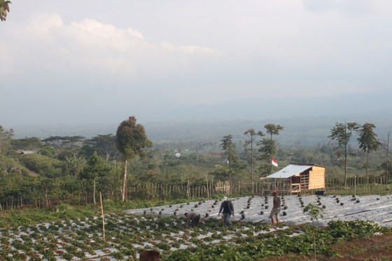 lihat pemandaangan kayak gini memang bikin adem... asal jangan lama-lama aja di sini.