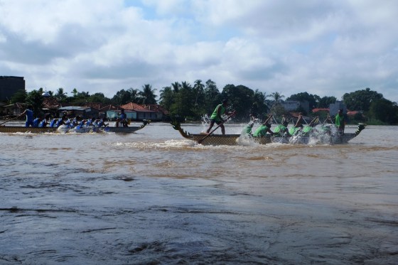 Let the race begin! - Sekayu